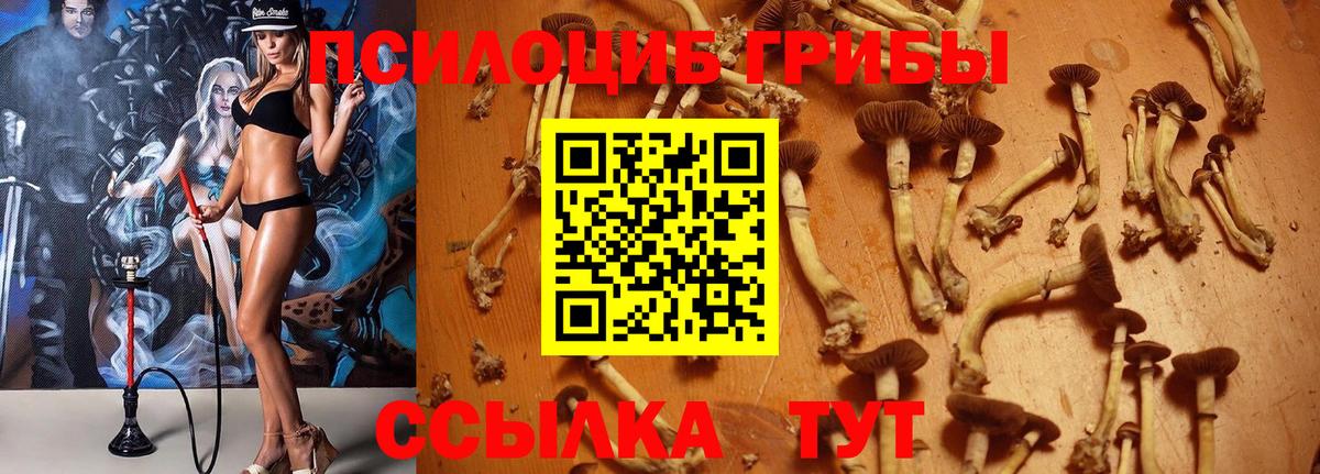 Гашиш  Меф МЯУ МЯУ  Малгобек  МДМА  Вход с VPN  МЕТАМФЕТАМИН  ЭКСТАЗИ  Меф МЯУ МЯУ кристаллы  Кокаин  Марихуана 