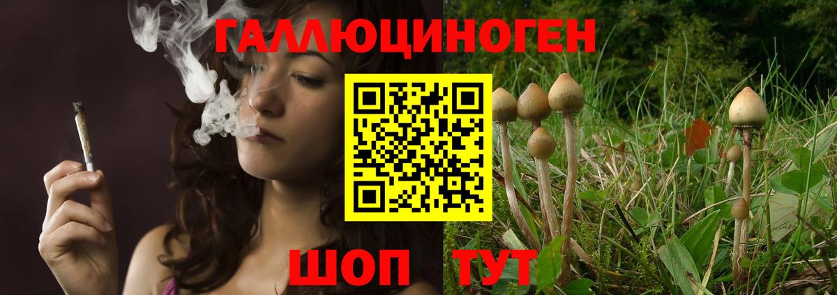 Галлюциногенные грибы ЛСД  Вход с VPN  Малгобек 